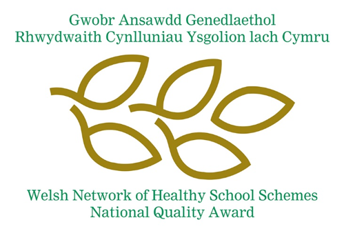 Welsh Network of Healthy School schemes